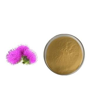 Milk Thistle Extract | CAS 84604-20-6 | Liver protection/antioxidant raw material supplier