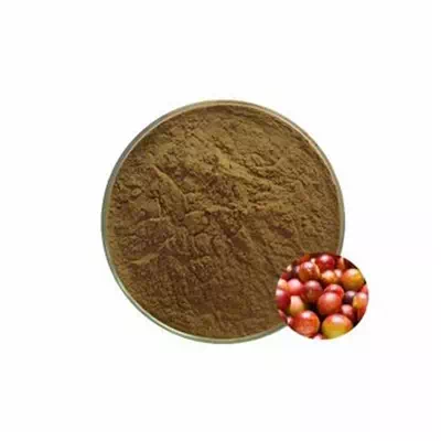 Camu Camu Extract | King of Natural Vitamin C | CAS 50-81-7 Supplier