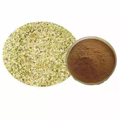 Yerba Mate Extract | Natural Energy and Metabolism Regulator | CAS 68916-96-1 Supplier