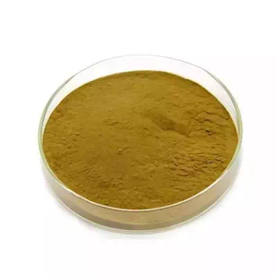 Galla Chinensis Extract | Gallnut Extract Supplier